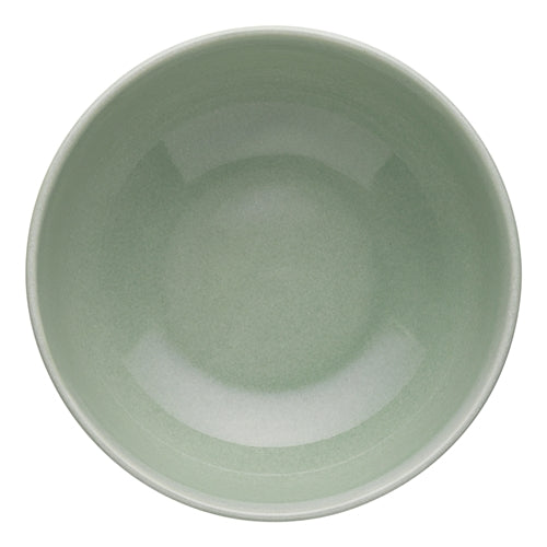 Ecology Element Laksa Bowl 20cm - Dew