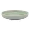 Ecology Element Dinner Bowl 22cm - Dew