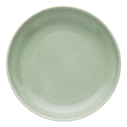 Ecology Element Dinner Bowl 22cm - Dew