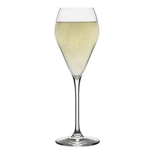 Ecology Classic Prosecco Glasses - 200ml Set Of 4 Glassware The Cooks Kitchen 