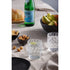 Ecology Dante Set Of 6 Tumblers 300ml