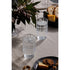 Ecology Phineas Set Of 6 Highball Glasses