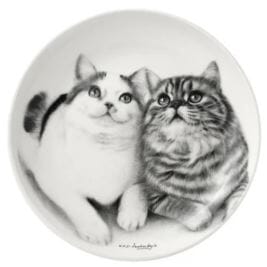 Ashdene Feline Friends Fixated Friends Trinket Dish To be sorted The Cooks Kitchen 