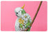Maxwell & Williams Marini Ferlazzo Wild Planet Cockatoo Chick Placemat