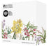Maxwell & Williams Royal Botanic Gardens - Australian Orchids Ceramic Round Coasters 9.5cm Set Of 4 Placemats & Coasters The Cooks Kitchen 