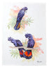 Maxwell & Williams Katherine Castle Bird Life Tea Towel Cockatoo