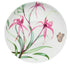 Maxwell & Williams Eloise Short Lyric Cup & Saucer 240ml - Spinebill Honeyeater