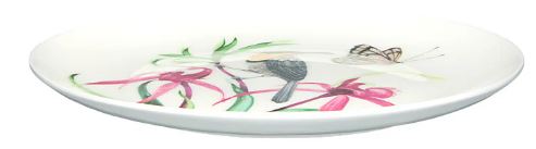 Maxwell & Williams Eloise Short Lyric Coupe Plate 20cm - Spine Bill Honeyeater