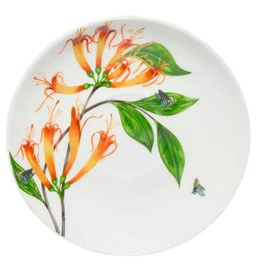 Maxwell & Williams Eloise Short Lyric Cup & Saucer 240ml - Regent Honeyeater Mugs - Cups & Saucers The Cooks Kitchen 