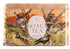 Koala Gift Tin - Desert - 25 Organic Teabags