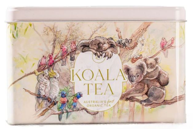 Koala Gift Tin - Forest - 25 Organic Tea Bags