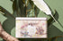 Koala Gift Tin - Forest - 25 Organic Tea Bags