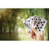 Maverick Waterproof Playing Cards In A Tin Silver 7.1x10x2cm