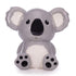 The Australian Collection Koala Money Box 15.7x10.4x14.4cm