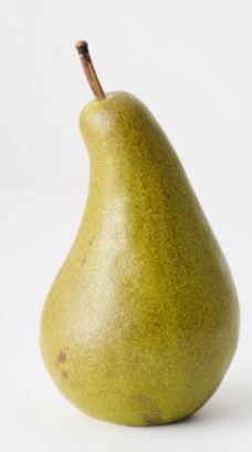 Elvi Pear 15cmx8cm - Green/brown