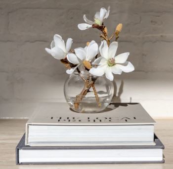 Rogue Mini Magnolia Sphere Vase 16cm White