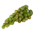 Rogue Green Grapes With Leaves