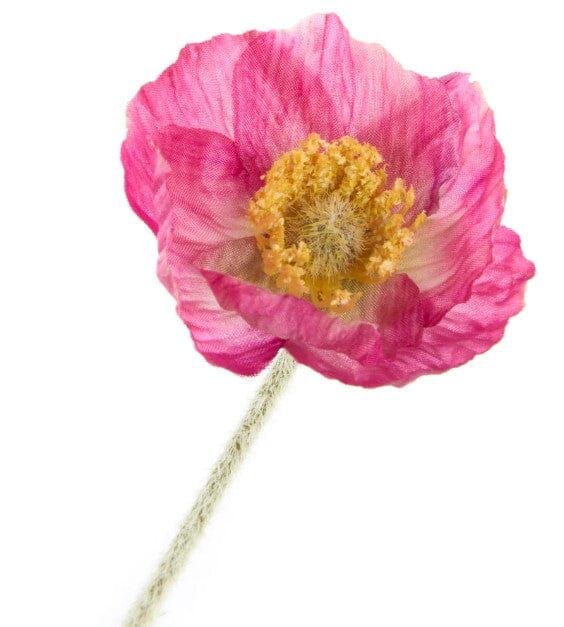 Rogue Poppy Spray Dark Pink 60x8x12cm Artificial Plants The Cooks Kitchen 