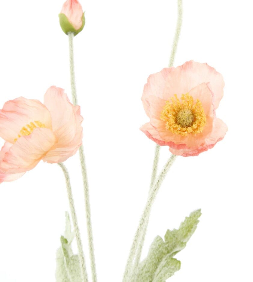 Rogue Poppy Spray - Coral 60x8x12cm Artificial Plants The Cooks Kitchen 