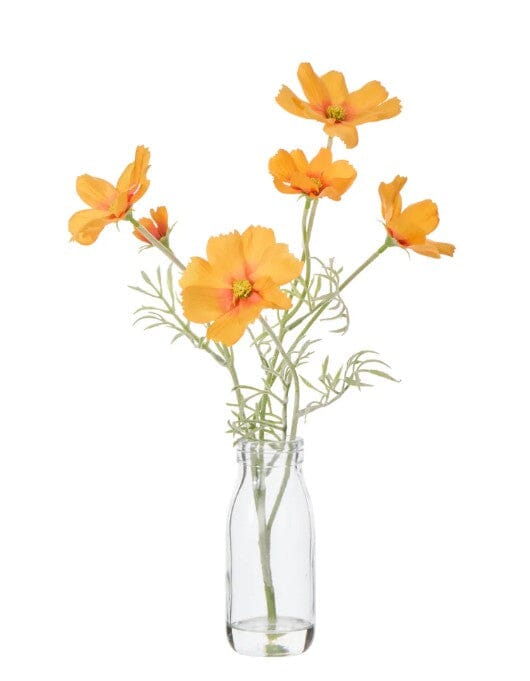 Rogue Cosmos In Milk Bottle Orange Artificial Plants The Cooks Kitchen 