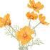 Rogue Cosmos In Milk Bottle Orange Artificial Plants The Cooks Kitchen 