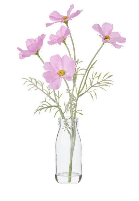 Rogue Cosmos In Milk Bottle Light Pink Artificial Plants The Cooks Kitchen 