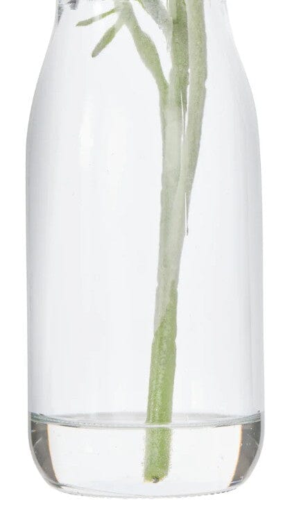 Rogue Cosmos In Milk Bottle Burgundy Artificial Plants The Cooks Kitchen 