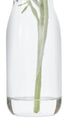 Rogue Cosmos In Milk Bottle Burgundy Artificial Plants The Cooks Kitchen 