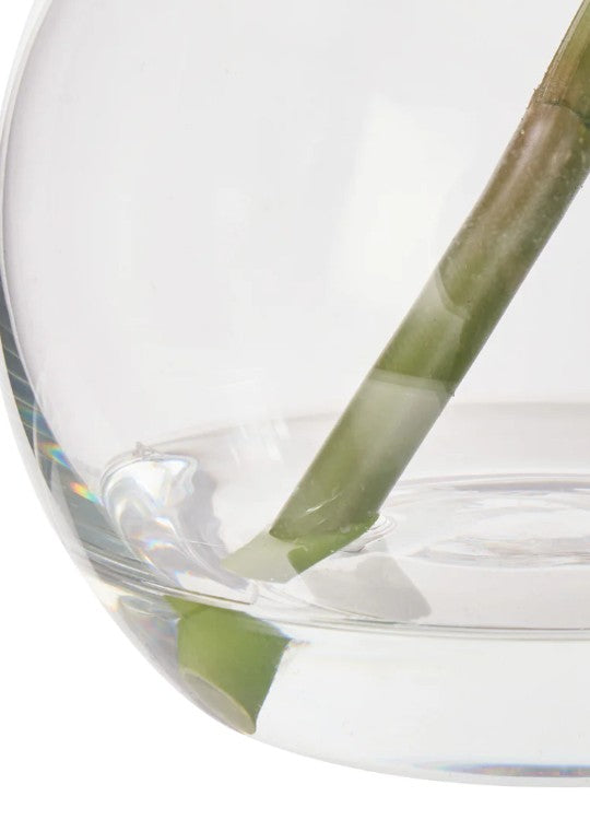 Rogue Cymbidium-glass Vase White