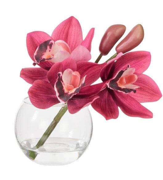 Rogue Cymbidium-glass Vase Burgundy Artificial Plants The Cooks Kitchen 