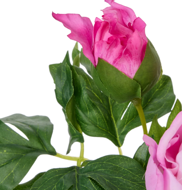 Rogue Pitaya Eucalyptus Wreath Pink