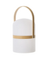 Rogue Afterglow Led Table Lamp Natural.