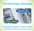 White Magic Sponge - Medium