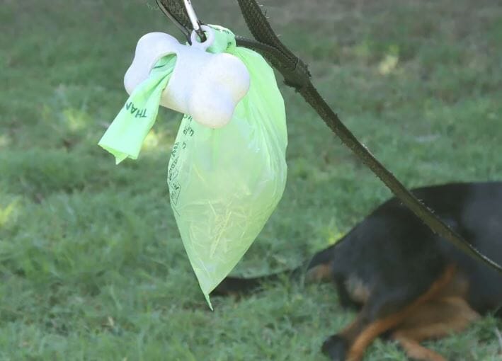 Eco Basics Doggy Bag Holder Misc The Cooks Kitchen 