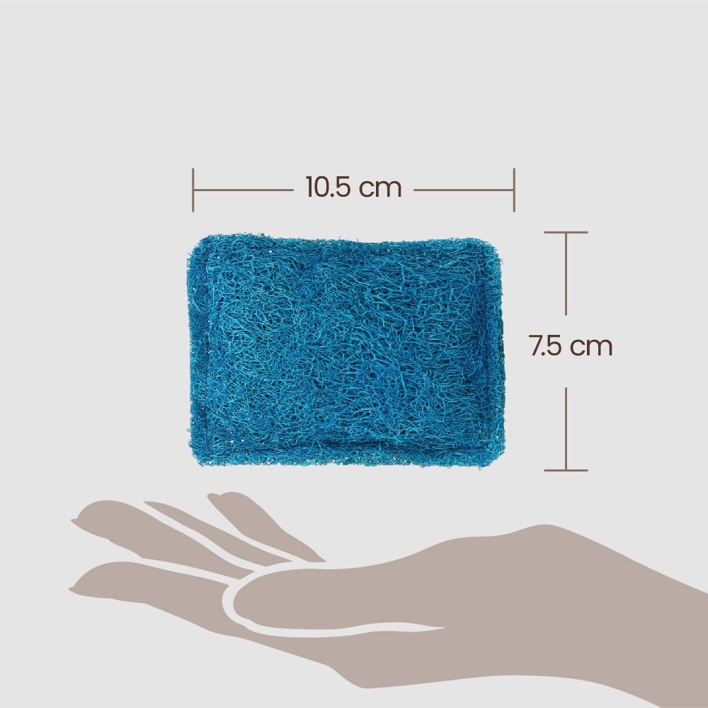 Eco Basics Natural Kitchen Scrubber