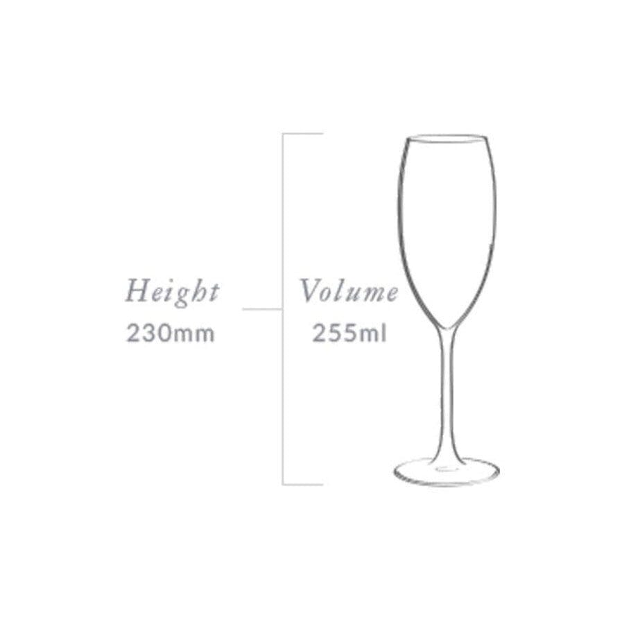 Plumm Outdoors Sparkling Wine Glass - 4 Pack Wine & Champagne The Cooks Kitchen 