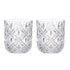 Davis & Waddell Fine Foods Deluxe Double Old Fashioned Set Of 2, 280ml