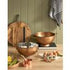 Academy Copper Plated Measurng Spoons With Brass Handles 4pcs Set Brass & Copper