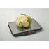 Svna Maxi Electronic Scale Grey 31x25.6x2.7cm Scales The Cooks Kitchen 