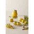 Emporium Limoncello Salt And Pepper Shakers Yellow & Green 13x8.2x6cm