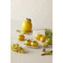 Emporium Limoncello Salt And Pepper Shakers Yellow & Green 13x8.2x6cm