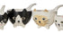 Davis & Waddell Whiskers Measuring Cups