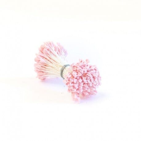 Bakegroup - Stamens - Pink Hammerhead Flower Making The Cooks Kitchen 