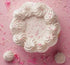 Sprinks Titanium White 100g Dusts and Powders The Cooks Kitchen 