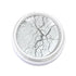 Sprinks Silver Lustre Dust (10ml)