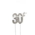 Cake & Candle Silver Metal Cake Topper - 30th