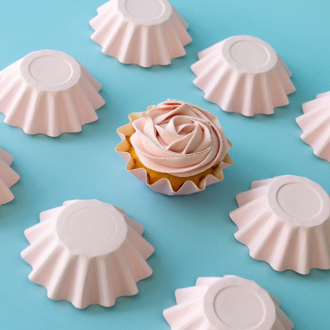 Pastel Pink Bloom Baking Cups Boards & Boxes & Packaging The Cooks Kitchen Mandurah 