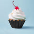 Black Bloom Baking Cups 24 Boards & Boxes & Packaging The Cooks Kitchen 