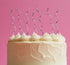 Cake & Candle Swirly Cake Candles Silver 13cm 16pk Candles The Cooks Kitchen 