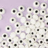Sprinks Small Eyes Tiny Toppers 25g Edible Decorations The Cooks Kitchen 